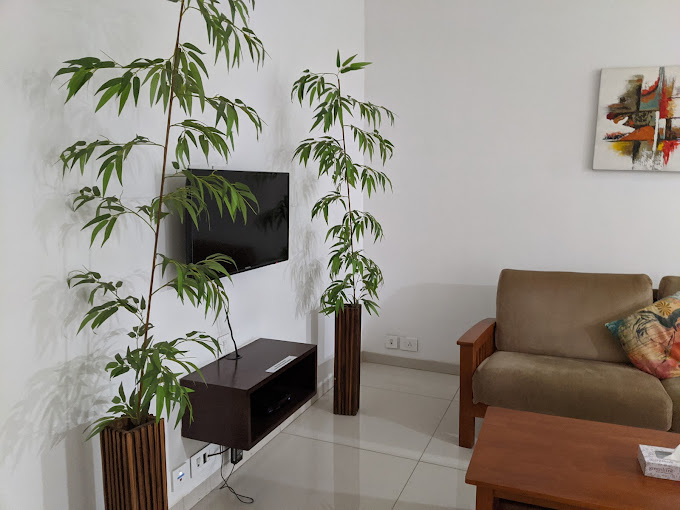 Standard Serviced Apartment Kothaguda